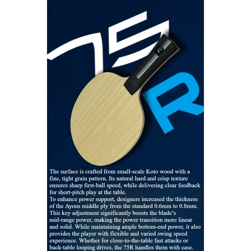 SANWEI 75R 5+2 Outer H-GLC Bla - Table Tennis Blade ulasan dan harga